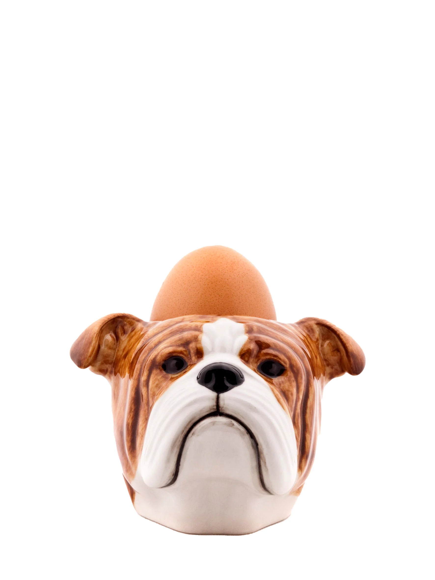Quail Buldog-munakuppi