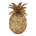 G& C Säilytysrasia ananas