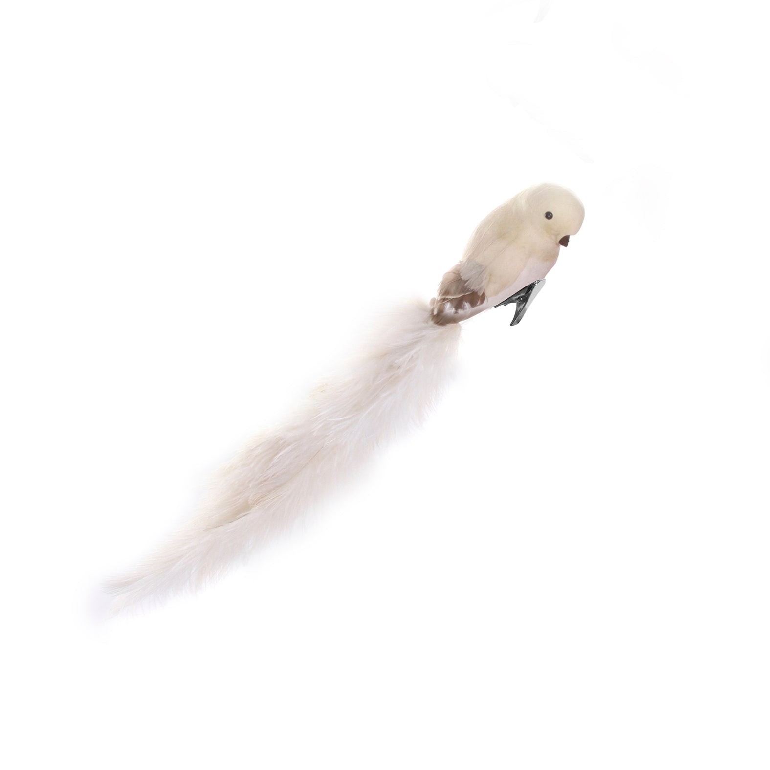 Lintu vaalea, vaalea pyrstö 30 cm